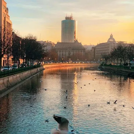 Cozy Plevnei Apartament Bucureşti