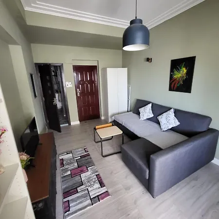 Cozy Plevnei Appartement *