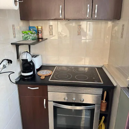 Cozy Plevnei Appartement