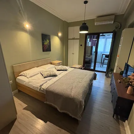 Cozy Plevnei Apartment Bucharest