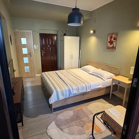 Apartment Cozy Plevnei *