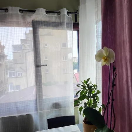 Cozy Plevnei Διαμέρισμα *