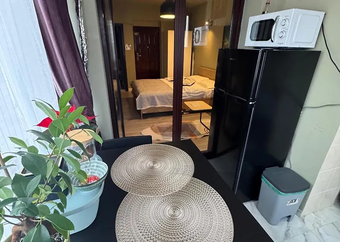 Cozy Plevnei Apartament